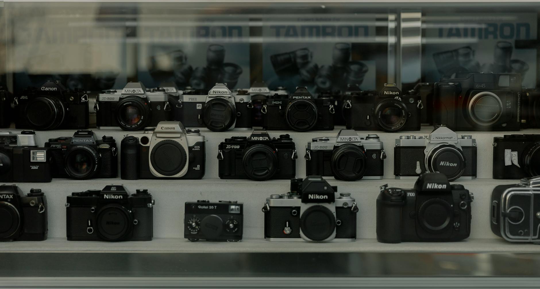display of cameras